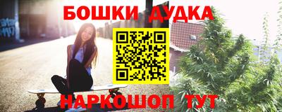 индика Пыть-Ях